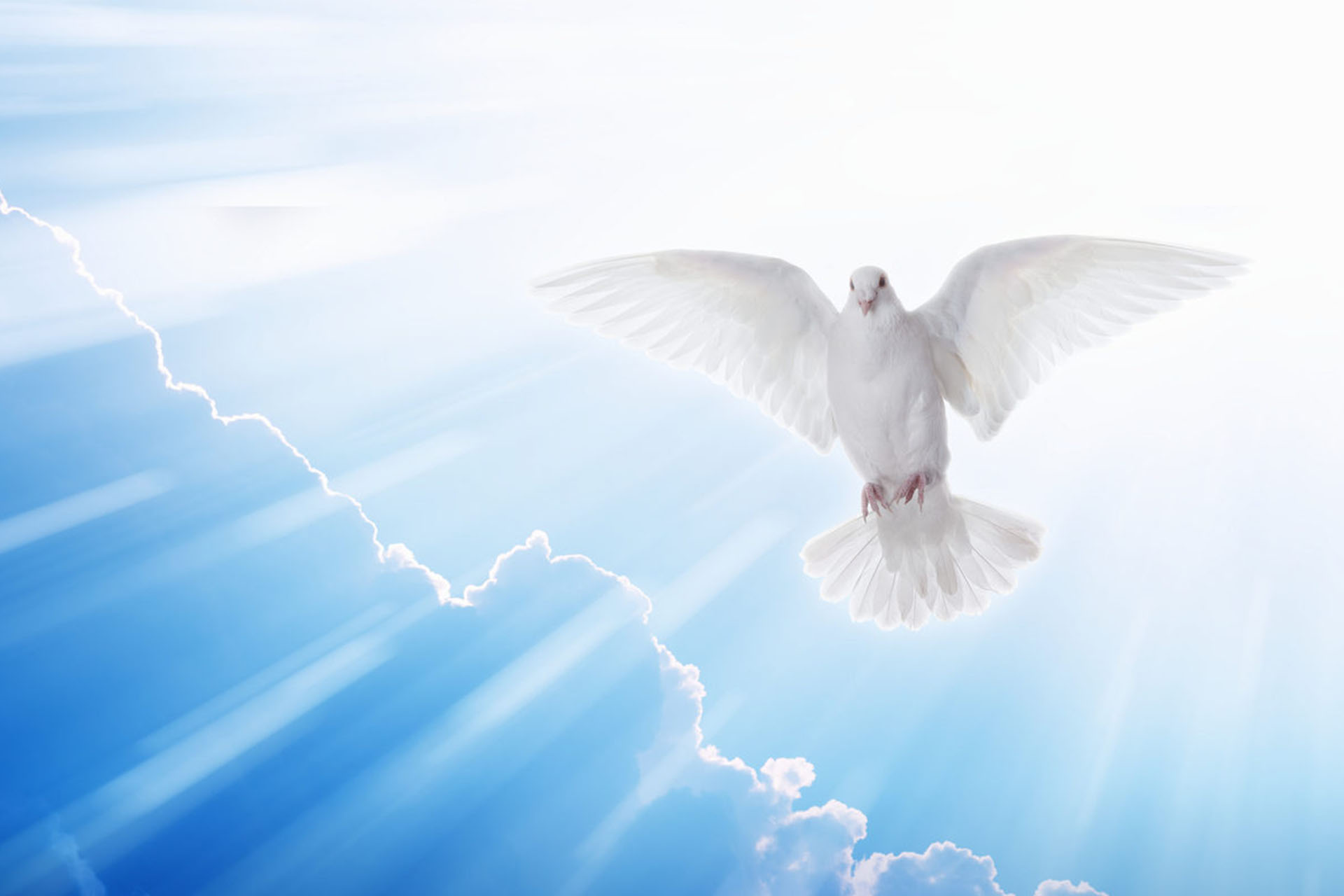 Video: O Espírito Santo como Pessoa da Divindade - Centro de